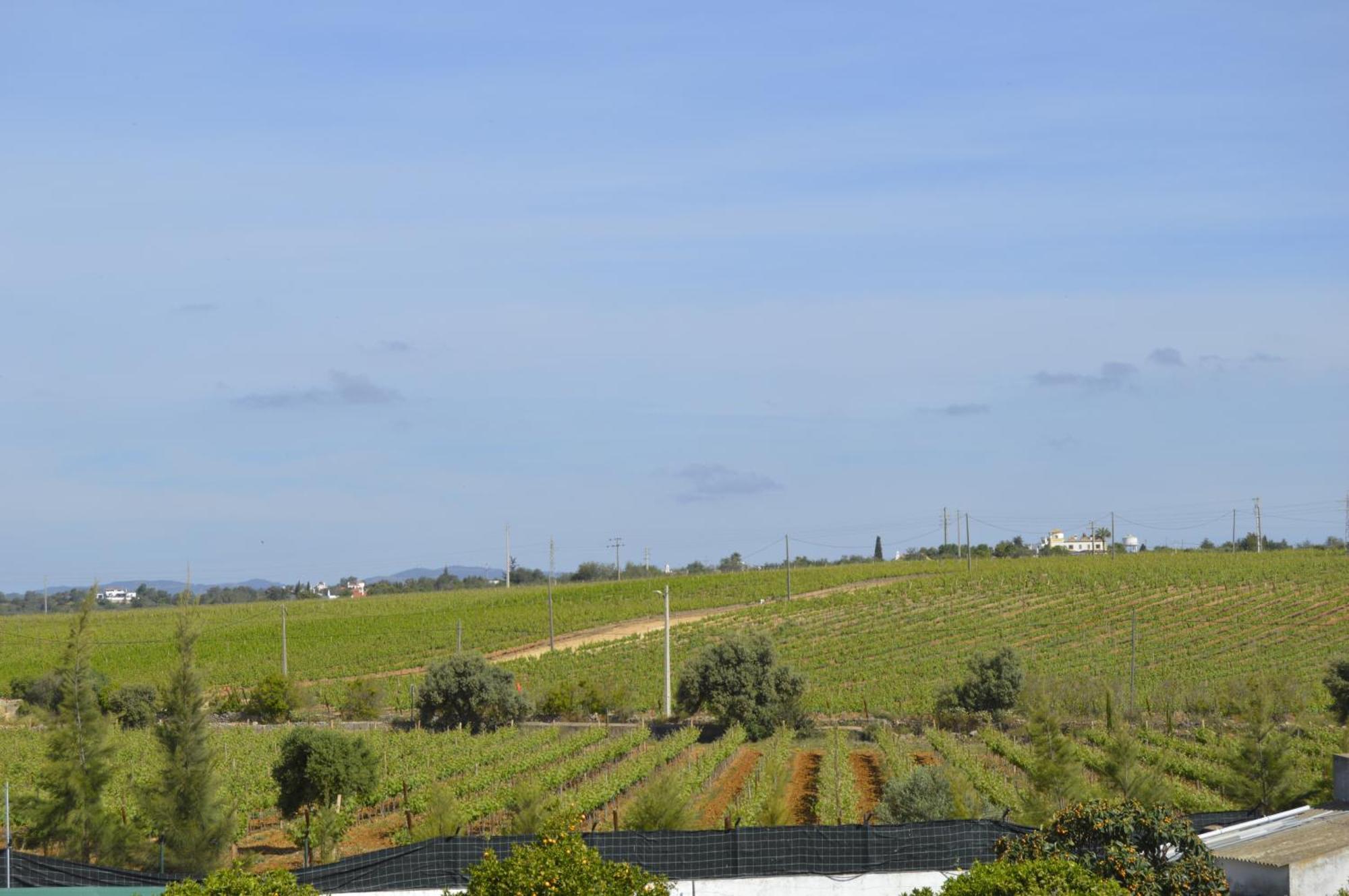 Tavira Vacations Apartments Exterior foto